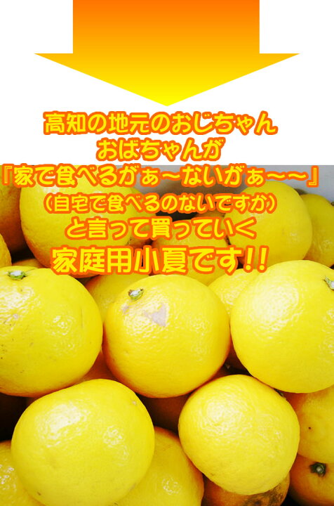 楽天市場】小夏☆【送料無料】ご家庭用高知産 土佐小夏 約5キロ日向夏 