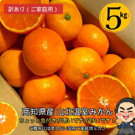 【送料無料】訳ありハウスみかん5kg★高知産ご家庭用　山北温室ミカン ちょっと色付きが悪いですが甘いで…