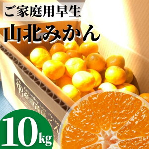 Rk݂ ݂10kgmY  ƒp{yƖkC͕ʓr S̗͔s10㍠蔭\