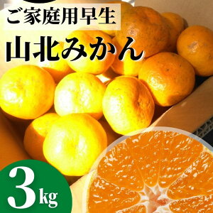 Rk݂ ݂3kgmY  ƒp{yƖkC͕ʓr S̗͔s10㍠蔭\