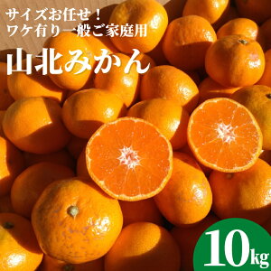 yz݂̖YnmYFRk݂10kgPLʂƒp 󂠂艫{yƖkC͕ʓrS̗͔s