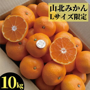 yz mY Rk݂ LTCY10kg {yƖkC͕ʓr S̗͔s 11㍠蔭\