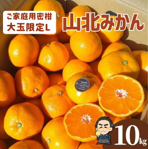 yz mY Rk݂ LTCY10kg {yƖkC͕ʓr S̗͔s 11㍠蔭\