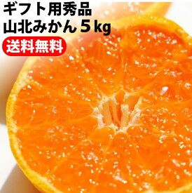 【送料無料】ギフト用秀品 山北みかん5kg綺麗で美味しい山北蜜柑沖縄本土と北海道は別途送料 全国の離島は発送不可 11月上頃より発送予定