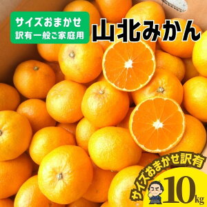 yz݂̖YnmYFRk݂10kgPLʂƒp 󂠂艫{yƖkC͕ʓrS̗͔s