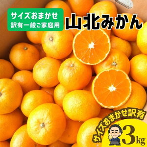 yzRk݂񏬗3kgݐlCS`2SĂ܂m̖ysmtb-KDz󂠂艫{yƖkC͕ʓr