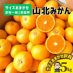 yz݂̖YnmYFRk݂5kgPLʂƒp 󂠂艫{yƖkC͕ʓrS̗͔s11㍠蔭\