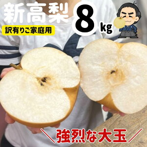 V  mY  8kg󂠂育ƒp ƖkCAS̗͔s@