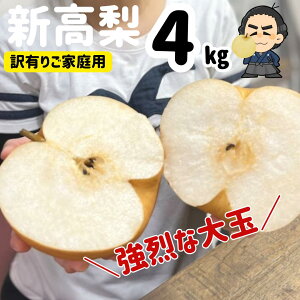 V  mY 4kg󂠂育ƒp ʐ4`8ʓƖkCAS̗͔s@