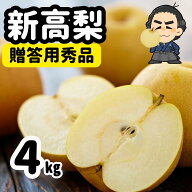 新高梨 高知県産 贈答用 秀品4kg5〜7玉入送料無料 新高梨10月上旬頃より発送です沖縄本土と北海道は別途…