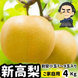 yzmY̐V 4kg7`9ʓ 󂠂育ƒp Ȃ iVƖkCAS̗͔s