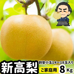 yzmY̐V 8kg14`18ʓ 󂠂育ƒp Ȃ iVƖkCAS̗͔s