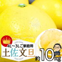 【100円クーポン有】毎年大人気 土佐文旦 訳あり 4L〜3Lサイズ 特大 超大玉がズッシリ 高知産 送料無料デカい旨い特大…