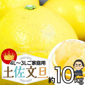 【100円クーポン有】高知産 土佐文旦の訳あり大玉4L〜3Lサイズ約10kg文旦【送料無料】 ご家庭用 ぶんたん沖縄本土と北海道は別途送料 全国の離島は発送不可
