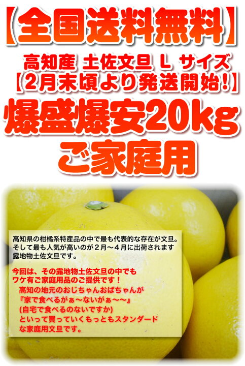 楽天市場】爆盛爆安20kg L2Lサイズ 土佐文旦☆送料無料 高知産 
