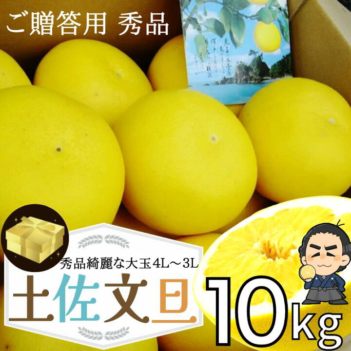 楽天市場】【送料無料】 土佐文旦 ご贈答用 秀品 ☆綺麗な大玉4L 