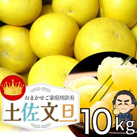 ＜LINE初回登録で300円オフ＞【送料無料】高知産 土佐文旦 約10kg20〜30玉入り 訳あり家庭用ぶんたんブンタン2月上中旬頃より発送予定沖縄本土と北海道は別途送料 全国の離島は発送不可