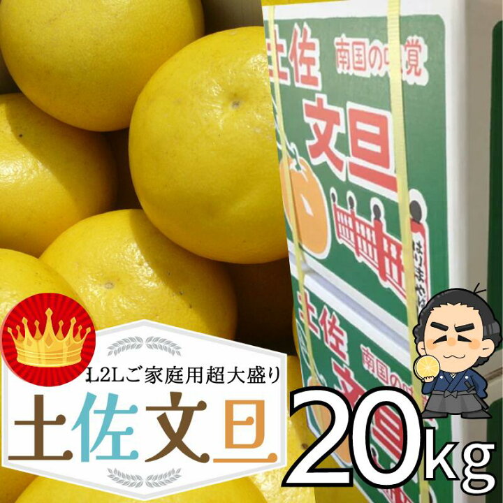 楽天市場】爆盛爆安20kg L2Lサイズ 土佐文旦☆送料無料 高知産 