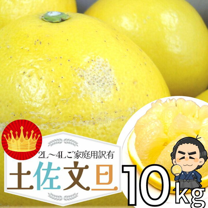 楽天市場】大玉4L〜3Lサイズ約10kg文旦！☆【送料無料】 高知  