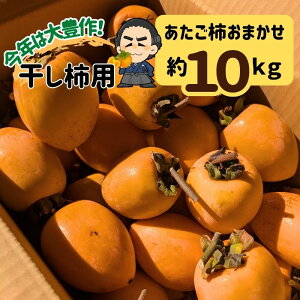 ` ʌ3L`2L 10kgQ }ta` ` `p11㒆{蔭{yƖkC͕ʓr S̗͔sIR`I