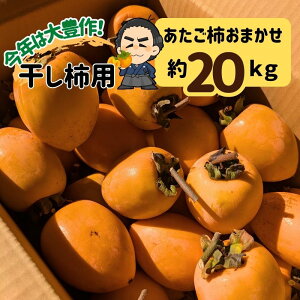 ` ʌ3L`2L 20kgQ }ta` ` `p 11㒆{蔭{yƖkC͕ʓr S̗͔s