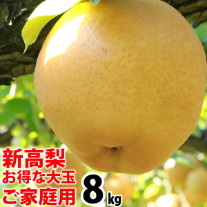 V mY ȑ8kg 8`12ʓ 󂠂育ƒp̂Ȃ iVƖkCAS̗͔s