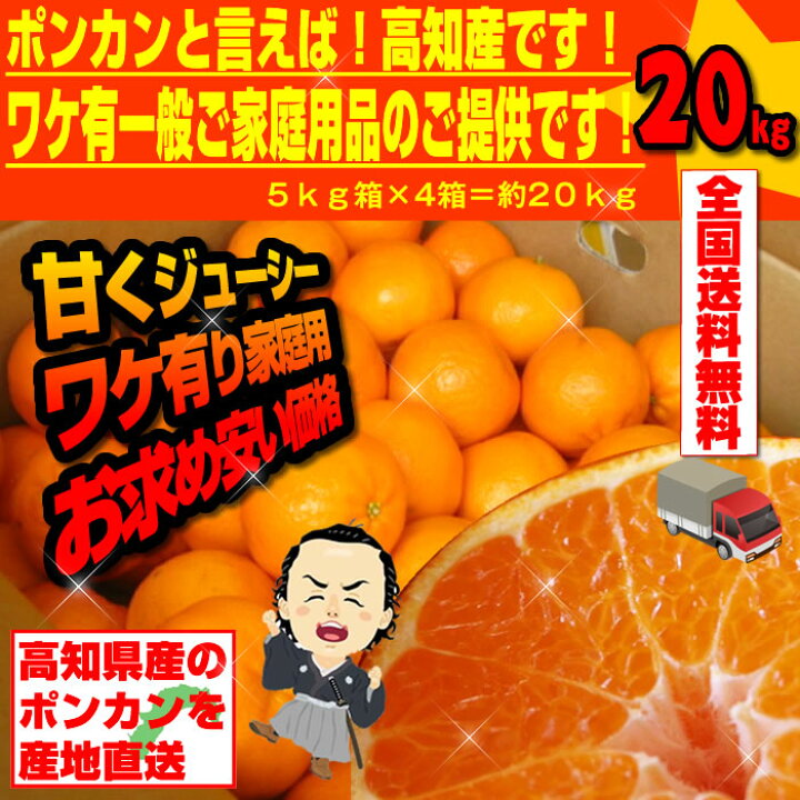 楽天市場】【送料無料】高知産 土佐ポンカン20kg☆ワケ有ご家庭用 