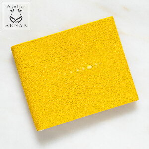 GCv K[V {vz ܂z }l[Nbv D΂ D ^z z vz U[ Vg CG[ F AgG ANiX Y fB[X z ̓ a