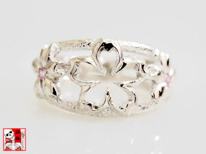 ԍ炵w C 񂵂傭 a a ANZT[ Vo[ O  TNysmtb-kzykbz10P03Dec16yRCPz[mij_g][mij][new]