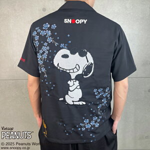 J×Xk[s[R{ SAKURAVc J 252055 a a s[ibc   hJ[new]