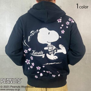 J×Xk[s[R{ KARATEXEFbgWbvp[J[ J 254091 a a hJ s[ibc 炭[new]