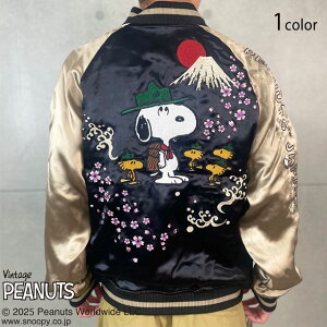 J×Xk[s[R{ JAPAN CAMPo[VuXJW J 254092 a a hJ X[xjAWPbg s[ibc[new]