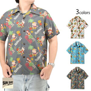 �R�b�g���V�A�T�b�J�[�A���n�V���c�uTRIP TO HAWAII�vby �����Ǖ� with MOOKIE SUN SURF SS39537 �T���T�[�t[new]