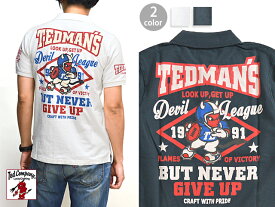 アメリカンフットボール半袖ポロシャツ TSPS-132 TEDMAN テッドマン 送料無料 エフ商会 アメカジ