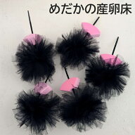 送料無料 めだかの産卵ボール10個セット フロート付き メダカ卵 めだか産卵床 チュールボール 水槽 ビオ…