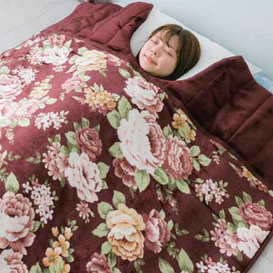 Ƌ@CeA@3w\ŒgI{[肦ѕzzc