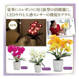 家具　インテリア　豪華にエレガントに咲く鉢型の胡蝶蘭に、LEDライトと人感センサーの機能をプラス