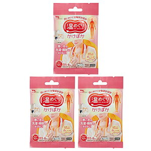 bN(LEC) ߂ ۂ ɂ ĝăJC (3) {