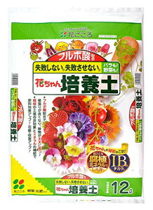 Ԃ t{_z Ԃ|{y t{_ł 12L