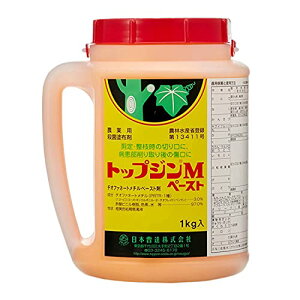 {B Eۍ gbvWMy[Xg 1Kg  ؐ؂ی | 