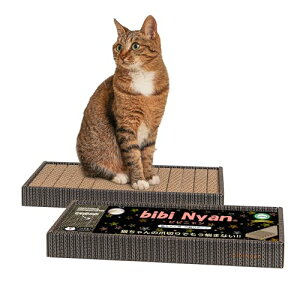 bibi Nyan ܐ؂sv̒܂Ƃ{[h L { ʎgp X XgX _{[ Sy ˂ ߂Ƃ ܌ lR rrj 1