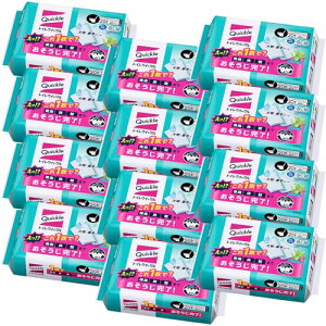 NCbN yP[X̔zgC gCp l֗p 20×12