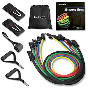 TheFitLife g[jO`[u `[u g[jO ؃g`[u (/VF/gF//nF)