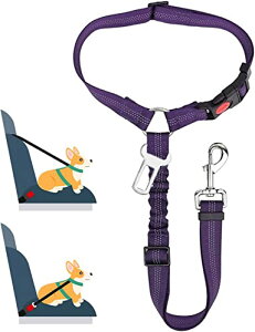 yCharming Decorationz  V[gxg ybgV[gxg Ԑp[h hCuV[gxg  яoh~ Lk ߉ (p[v)