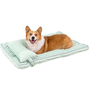 Bidason xbh ybg NbV L  Zbg `FbN XNGA  Ȗ ʋC ~ O\ 􂦂 ^ ^ Lbg  p }bg I[V[Y