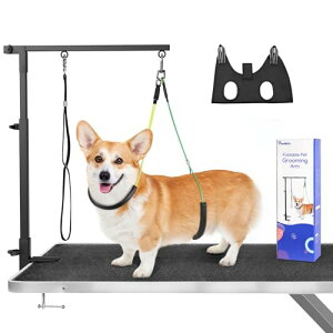 g~OA[ Pawaboo pg~OA[ O[~Oe[uɌŒ g~O ܂ ^̃g~OnbNt g~OA[ g~O[ht 