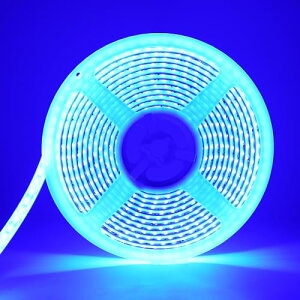 Lede[vCg Xgbv Cg 5m 600A 12V 邳 ԐڏƖ C~l[VCg 2835SMD Jbg\ tȒP DIY ʃe[v USBd hIP68 Px u[