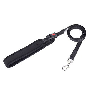 L Lp [h L[ ˂ lR qL q ^p [h bVf y \tg[h U o ₷ vȋ \ (Lp [h_ubN, S)