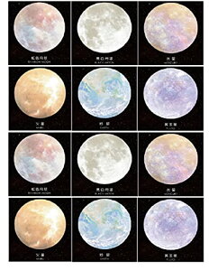 Bethany Home |XgCbg t 12{Zbg 360 VGbgfUC vlbgV[Y 킢 m[g  蒠 p ӂ bZ[WJ[h [ p (vlbgt-12pcs