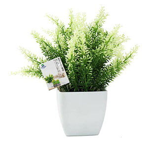 TOSSOW lHϗtA  tFCNO[ tFCNϗtA l CeA v[g Ηt